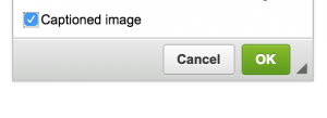 Captioned image check box